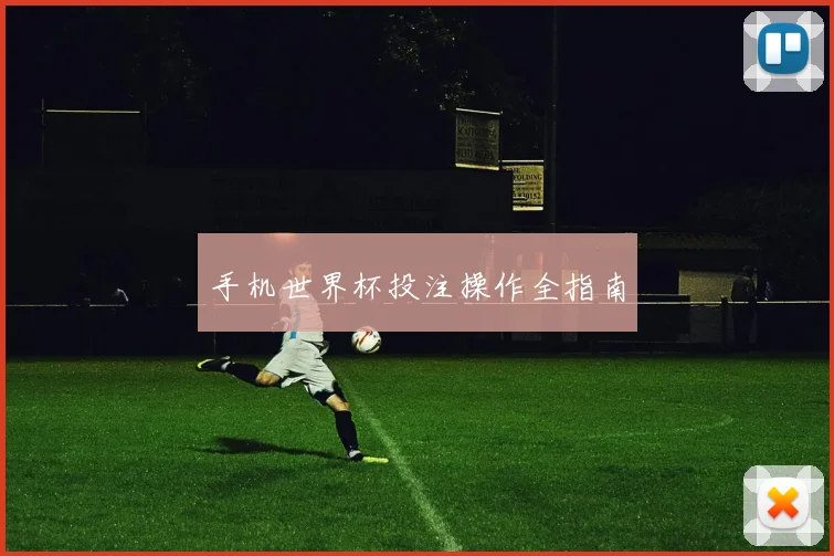 手机世界杯投注操作全指南